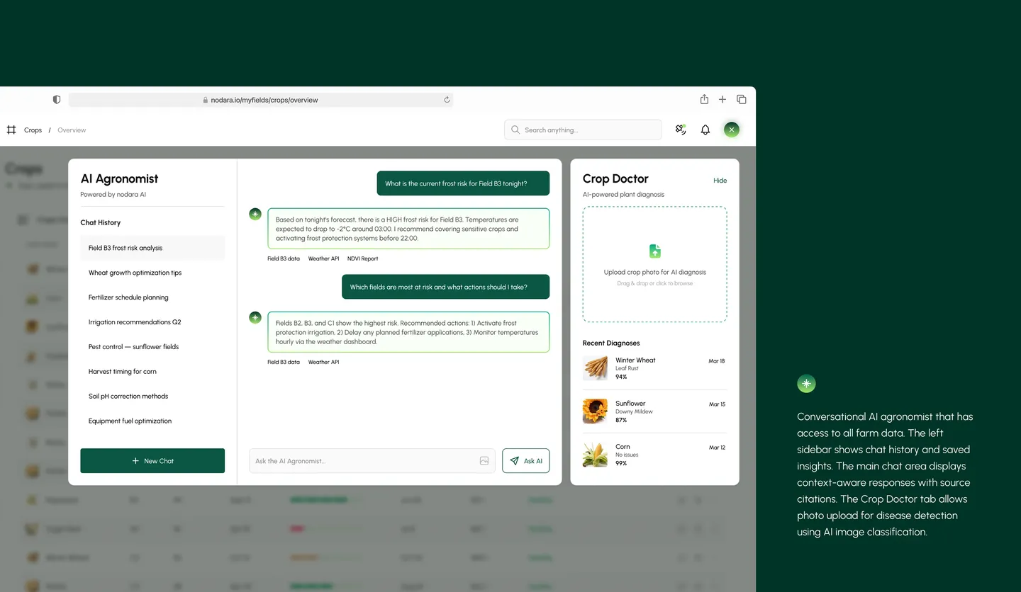 Nodara: screens from the project