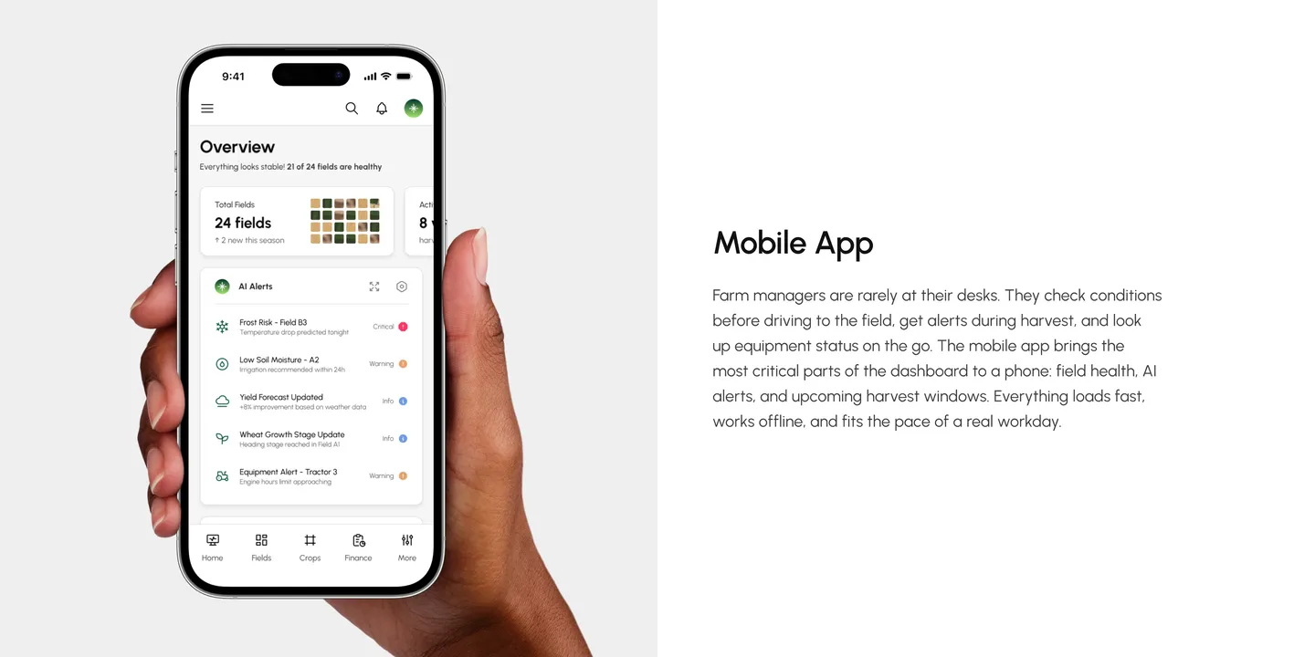 Nodara: screens from the project